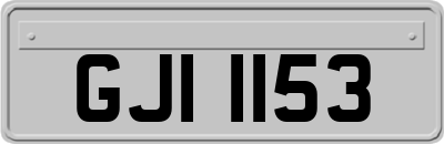 GJI1153