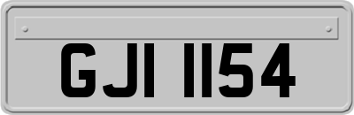 GJI1154