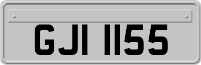 GJI1155