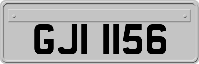 GJI1156