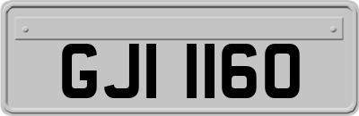 GJI1160