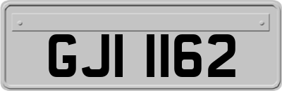 GJI1162