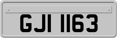 GJI1163