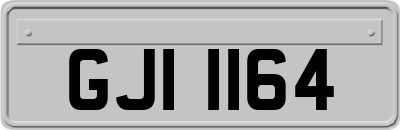 GJI1164