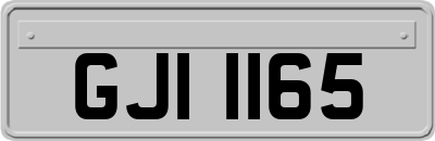 GJI1165