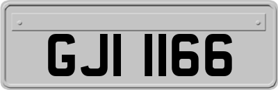 GJI1166