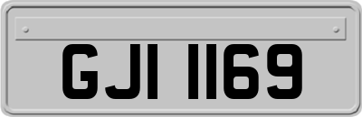 GJI1169