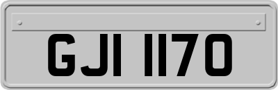 GJI1170