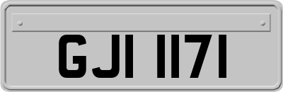 GJI1171