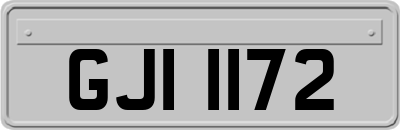 GJI1172