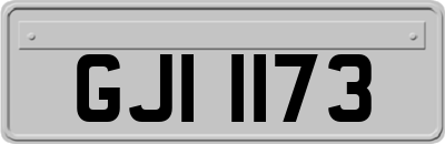 GJI1173