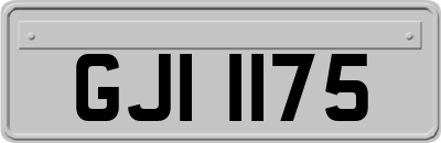 GJI1175