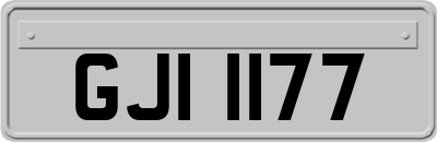 GJI1177