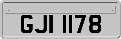 GJI1178