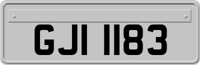 GJI1183