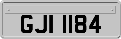 GJI1184