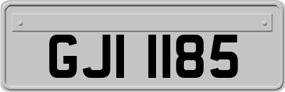 GJI1185
