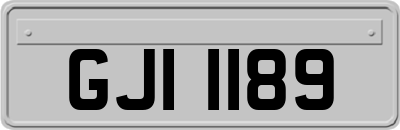 GJI1189