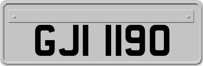 GJI1190