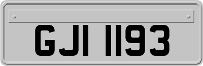 GJI1193