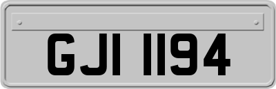 GJI1194