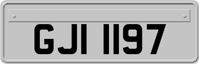 GJI1197