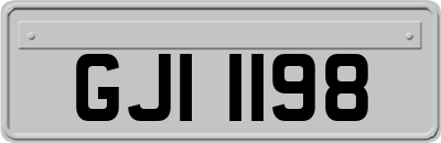 GJI1198