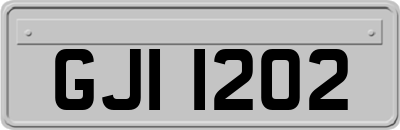 GJI1202