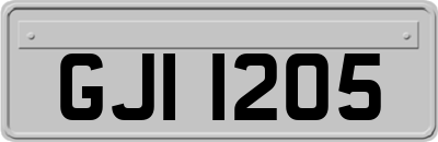 GJI1205