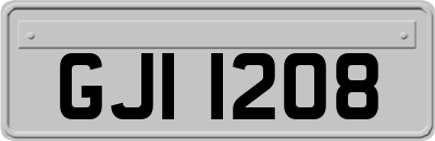 GJI1208