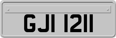 GJI1211