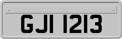 GJI1213