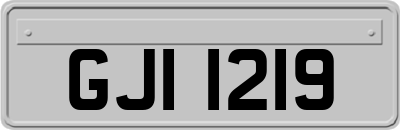GJI1219