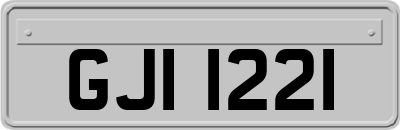 GJI1221