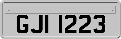 GJI1223