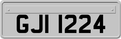 GJI1224