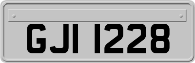GJI1228