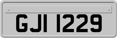 GJI1229
