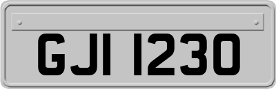 GJI1230