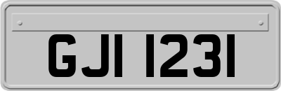 GJI1231