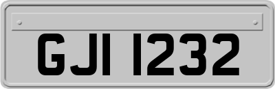 GJI1232