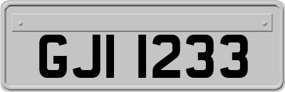GJI1233