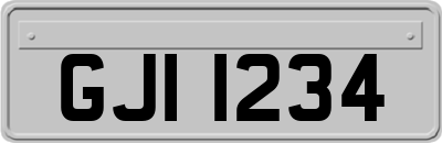 GJI1234