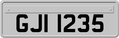 GJI1235