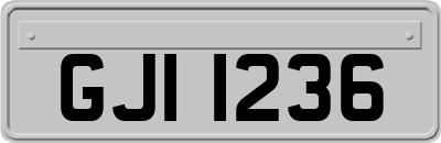 GJI1236