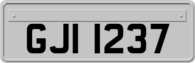 GJI1237