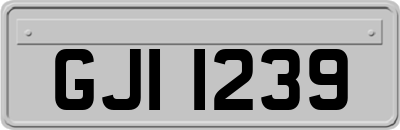 GJI1239