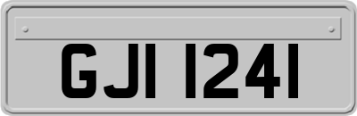 GJI1241