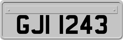 GJI1243