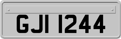 GJI1244